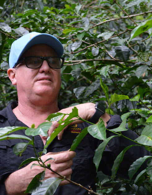 【Scropお試しセット】ゲイシャ2種セット